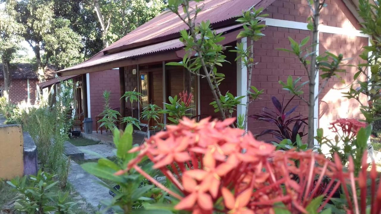 New Cottage Asri Karimunjawa-Inseln Exterior foto